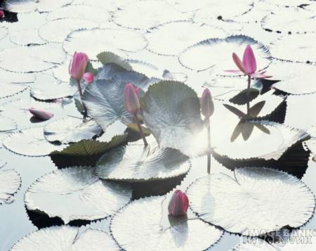 salut a tous le monde